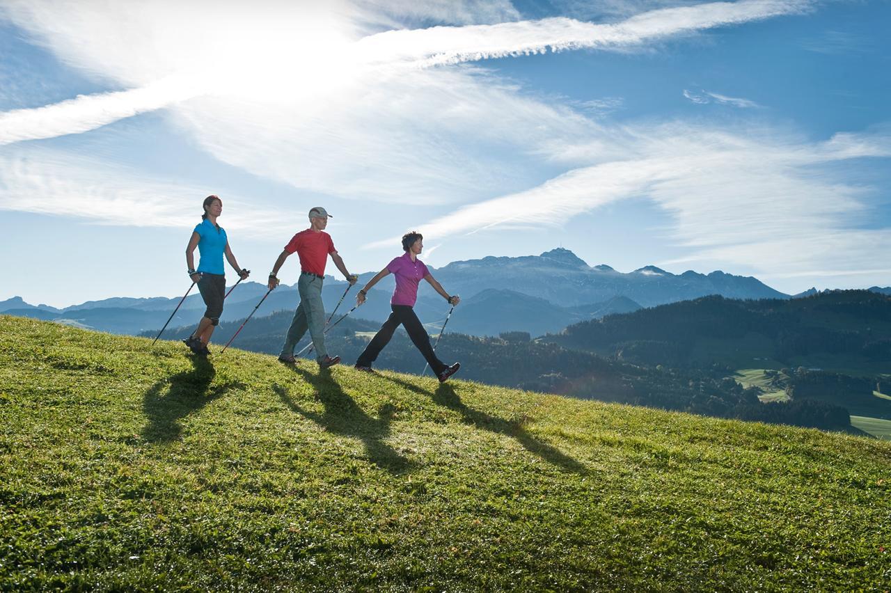 Hotel Landhaus Saentis هيريساو المظهر الخارجي الصورة