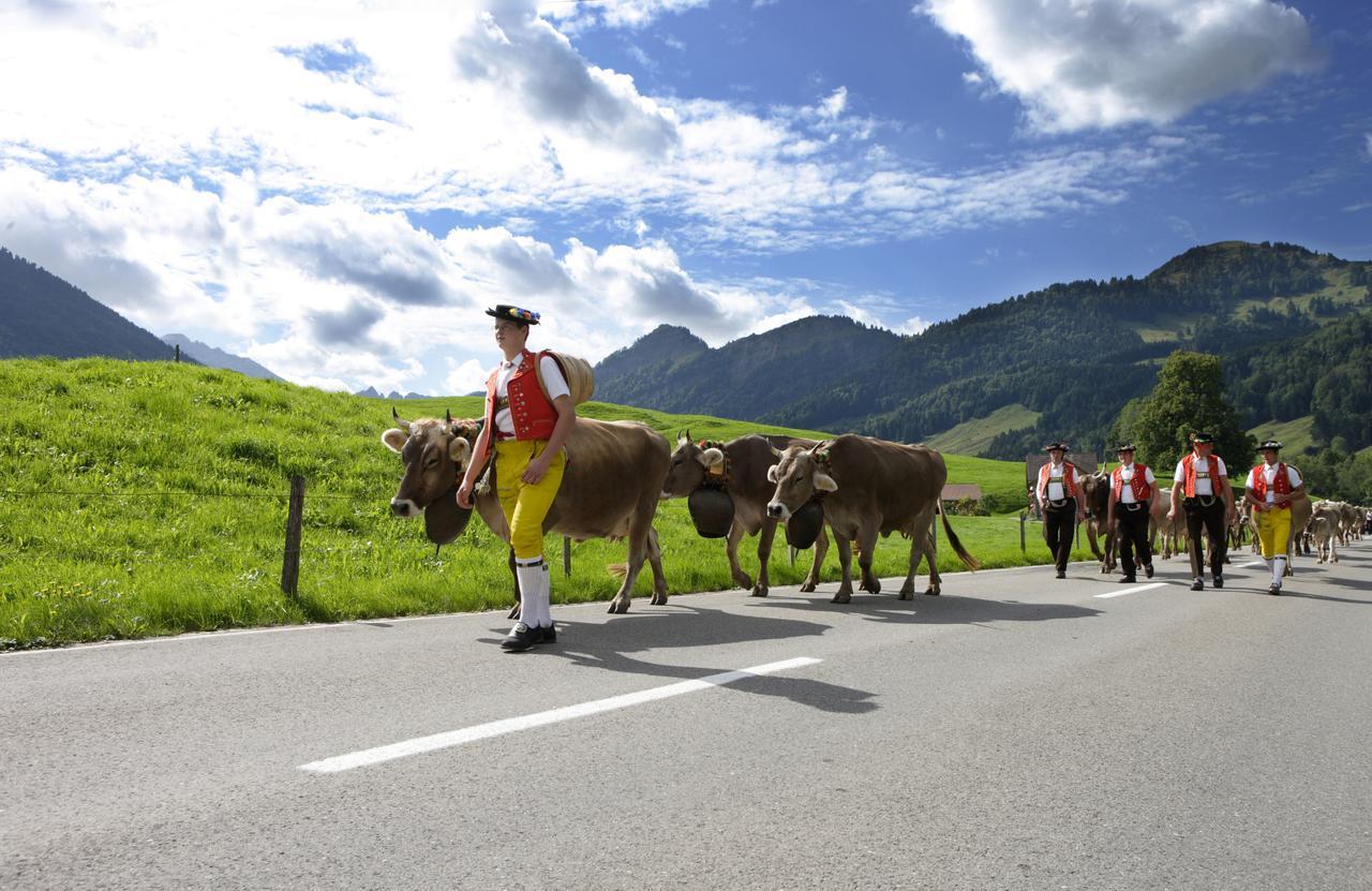 Hotel Landhaus Saentis هيريساو المظهر الخارجي الصورة